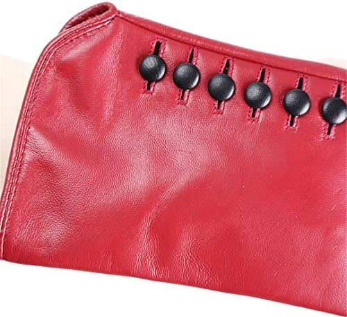 アルタ クラッセ カプリガンティ　皮　レザー　手袋　トゥモローランド アルタ クラッセ カプリガンティ 皮 レザー 手袋 トゥモローランド